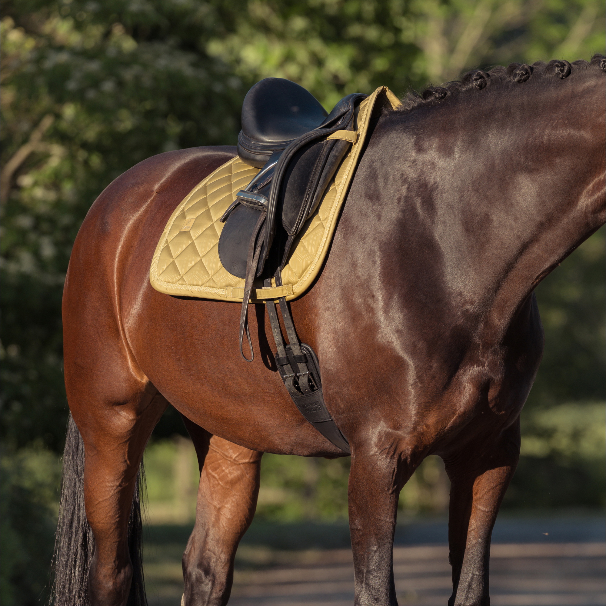 2025 Eskadron Heritage Glossy Saddle Cloth 215858 445 160 - Cardamom